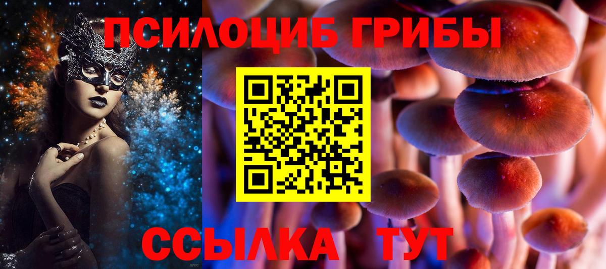 Узловая  Псилоцибиновые грибы Psilocybine cubensis  Вход с VPN 